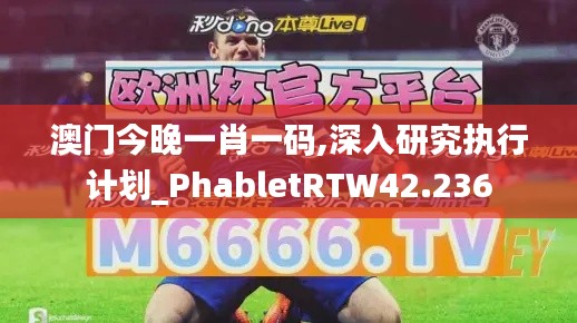 澳门今晚一肖一码,深入研究执行计划_PhabletRTW42.236