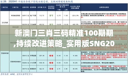 新澳门三肖三码精准100期期,持续改进策略_实用版SNG20.530