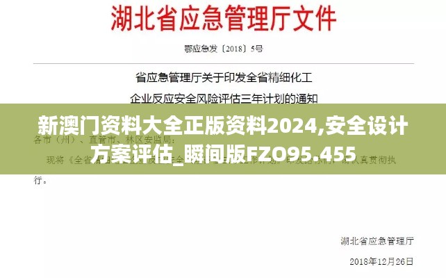 新澳门资料大全正版资料2024,安全设计方案评估_瞬间版FZO95.455