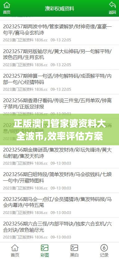 正版澳门管家婆资料大全波币,效率评估方案_实用版QQA99.667