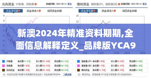 新澳2024年精准资料期期,全面信息解释定义_品牌版YCA93.612