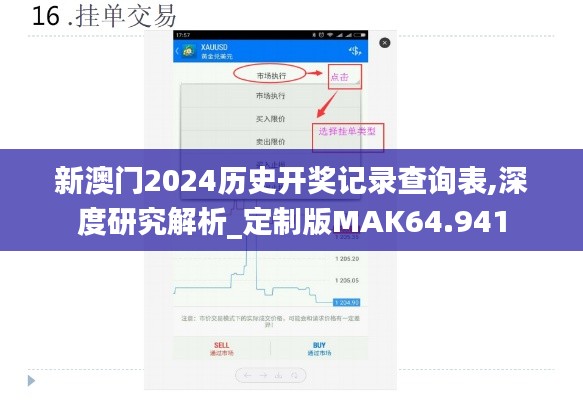 新澳门2024历史开奖记录查询表,深度研究解析_定制版MAK64.941