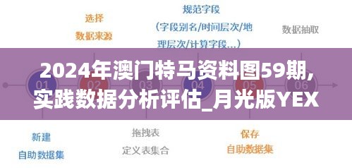 2024年澳门特马资料图59期,实践数据分析评估_月光版YEX62.489