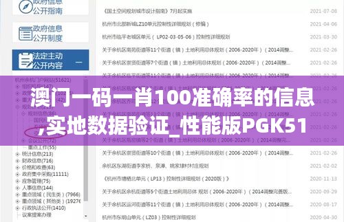 澳门一码一肖100准确率的信息,实地数据验证_性能版PGK51.192