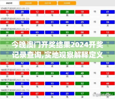 今晚澳门开奖结果2024开奖记录查询,实地观察解释定义_采购版XET95.982