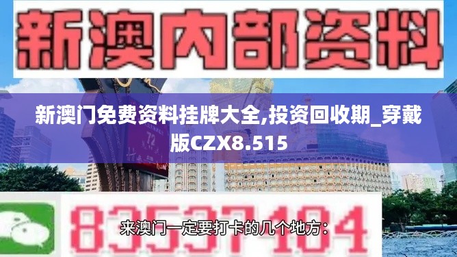 新澳门免费资料挂牌大全,投资回收期_穿戴版CZX8.515