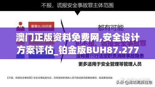 澳门正版资料免费网,安全设计方案评估_铂金版BUH87.277