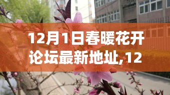 春暖花开论坛新址启航，变化中的学习，自信与成就感的正能量源泉（最新地址）