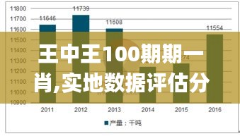 王中王100期期一肖,实地数据评估分析_远程版ESV23.718