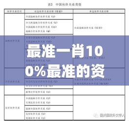 最准一肖100%最准的资料,互动性策略设计_外观版XXN86.331