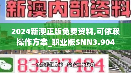 2024新澳正版免费资料,可依赖操作方案_职业版SNN3.904