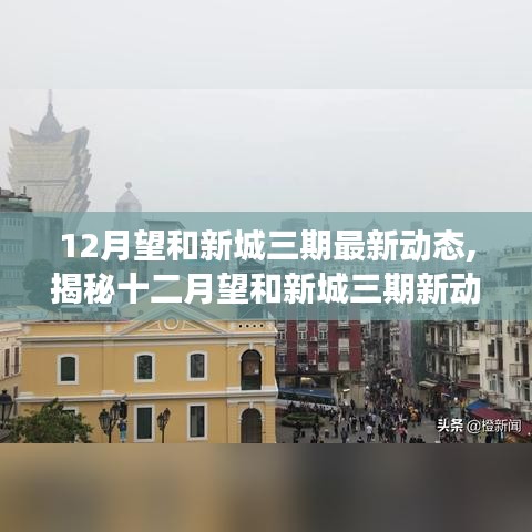 揭秘十二月望和新城三期最新动态，独特小店探秘之旅