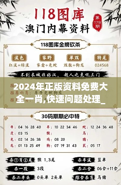 2024年正版资料免费大全一肖,快速问题处理_经典版RKF92.230