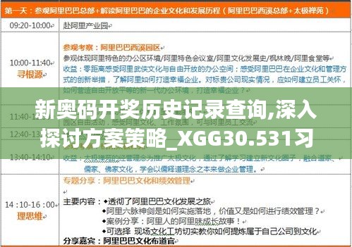 新奥码开奖历史记录查询,深入探讨方案策略_XGG30.531习惯版