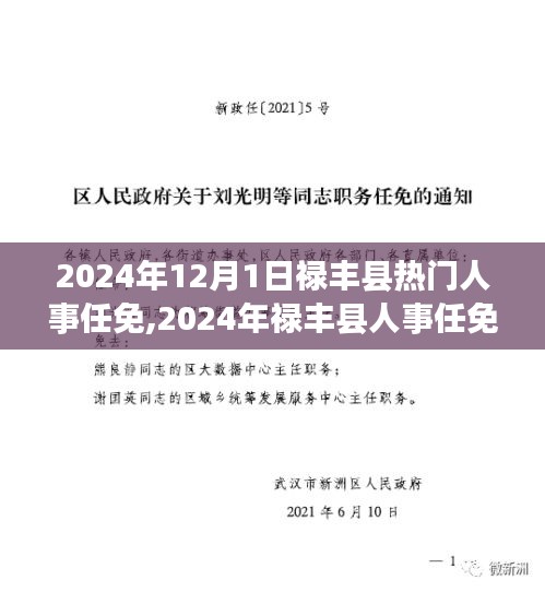 聚焦禄丰县人事任免热点动态，最新人事任免及热点调整