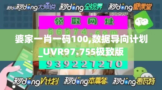 婆家一肖一码100,数据导向计划_UVR97.755极致版