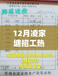 12月凌家塘招工热门信息详解与评测