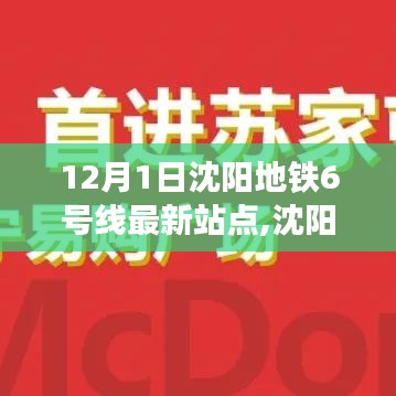 沈阳地铁6号线最新站点启航，变化中的学习带来自信与成就感