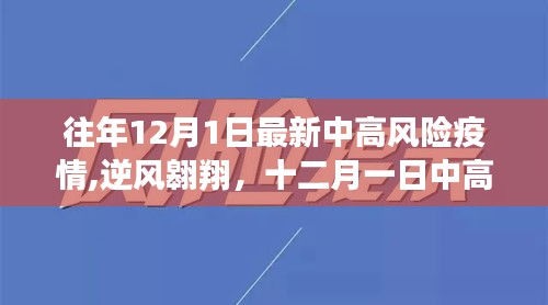 2024年12月1日 第6页