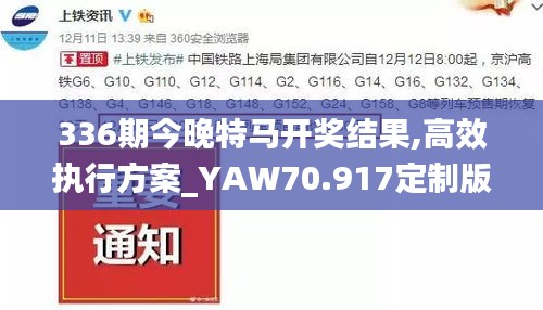 336期今晚特马开奖结果,高效执行方案_YAW70.917定制版