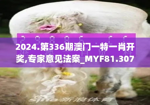 2024.第336期澳门一特一肖开奖,专家意见法案_MYF81.307旅行版