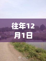 2024年12月1日 第5页