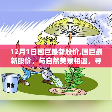 国巨最新股价与自然的和谐之旅，探寻内心宁静的旅程