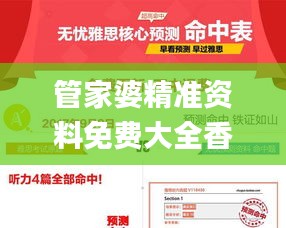 管家婆精准资料免费大全香港,创新计划制定_MFN80.989轻奢版