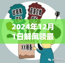 解凤领的日常趣事，温馨友谊的见证与最新动态（2024年12月1日）