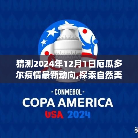 2024年厄瓜多尔疫情最新动态与探索自然美景之旅，疫情后的新起点与内心平和宁静的追求