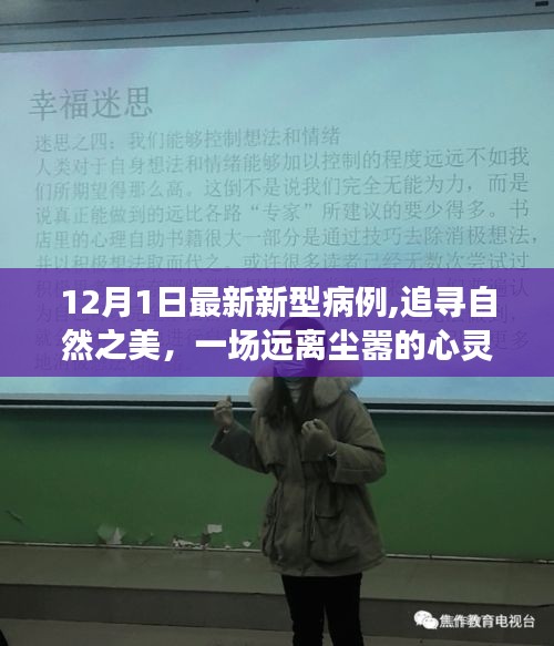 新型病例下的心灵之旅，追寻自然之美与新启示