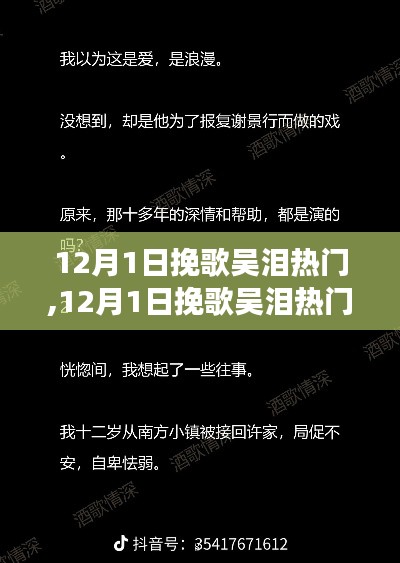 深度解读，吴泪热门挽歌背后的情感与争议，12月1日回顾分析