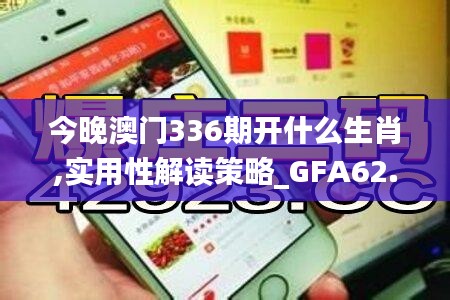 今晚澳门336期开什么生肖,实用性解读策略_GFA62.881限定版