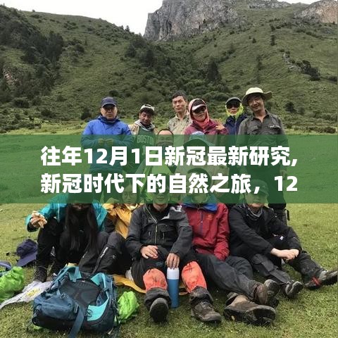 往年12月新冠最新研究，自然之旅中的新发现与内心宁静之旅