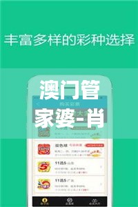 澳门管家婆-肖一码336期,全面数据分析_AOX31.521精英版