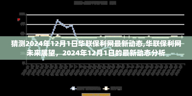 猜测2024年12月1日华联保利网最新动态,华联保利网未来展望，2024年12月1日的最新动态分析