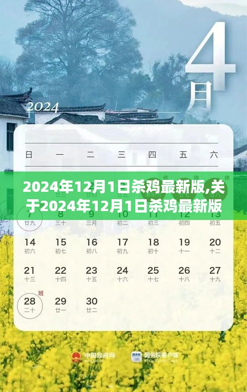 关于杀鸡最新版的探讨，方法与注意事项（2024年12月版）