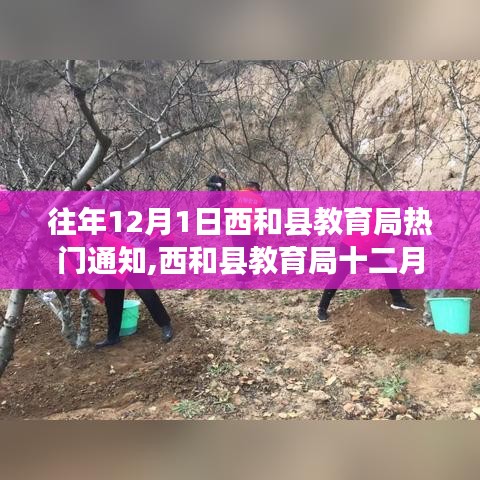 西和县教育局12月1日通知聚焦，温馨提醒与暖心故事盘点