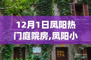 梦幻庭院房，凤阳独特住宿体验之旅，12月限定梦幻之旅