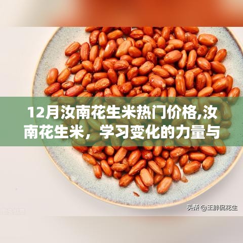 汝南花生米热门价格揭秘，学习变化的力量与自信成就之路