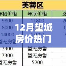 揭秘望城房价走势，最新热门消息一网打尽，12月房价动态大揭秘！