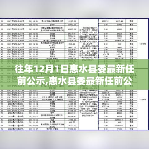 惠水县委往年12月1日最新任前公示流程详解及操作指南揭秘