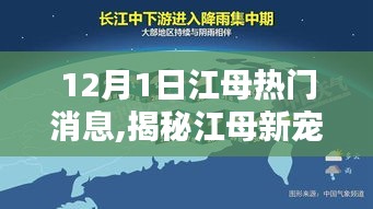 揭秘江母新宠科技革新先锋，引领未来生活潮流的最新消息曝光！