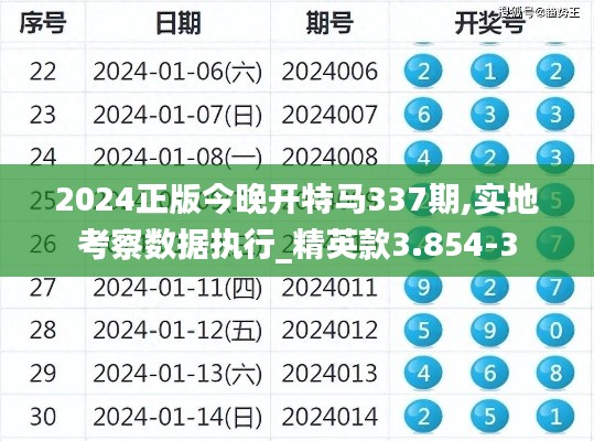 2024正版今晚开特马337期,实地考察数据执行_精英款3.854-3