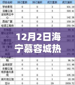 12月2日海宁慕容城热门探秘，时尚、活动与热潮涌动之日