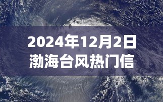 温馨渤海行，渤海台风热门信息揭秘与台风的奇妙相遇（2024年12月2日）