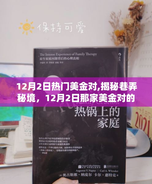 揭秘巷弄秘境，揭秘十二月美金对小店的风情探索之旅