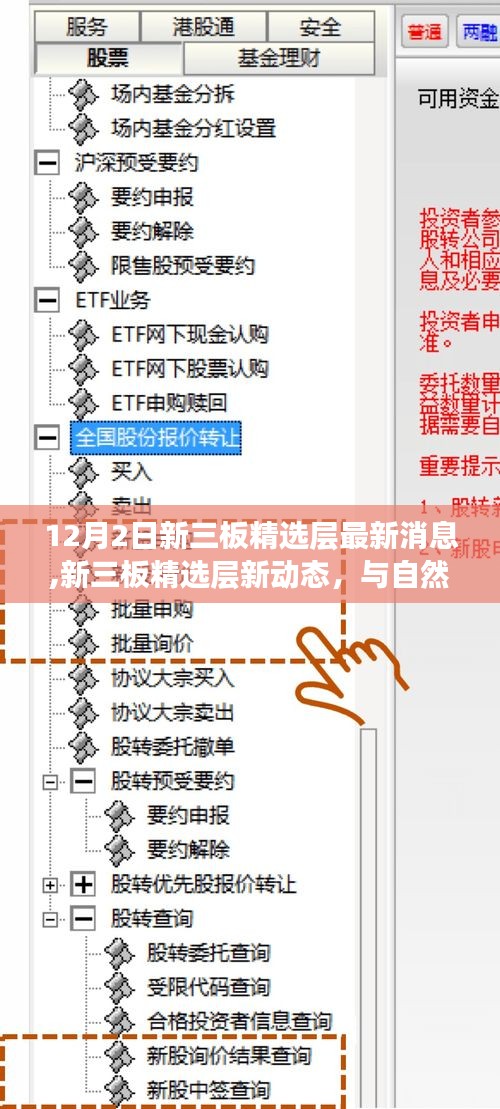 新三板精选层最新动态，与自然美景相遇，探寻内心宁静之旅