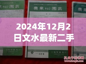 文水地区2024年二手房市场急售现象探析，个人立场与观点阐述