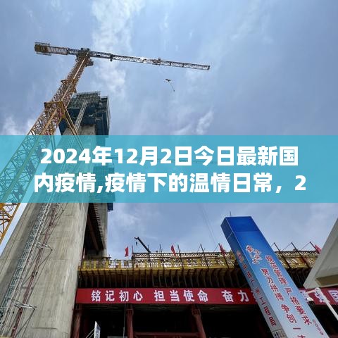 2024年12月2日最新疫情动态下的温情日常与阳光时刻